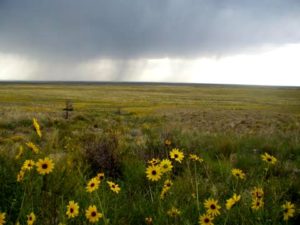 A thunderstorm approaching across the plains