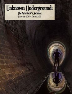 Warlock's Journal #29 cover 232x300